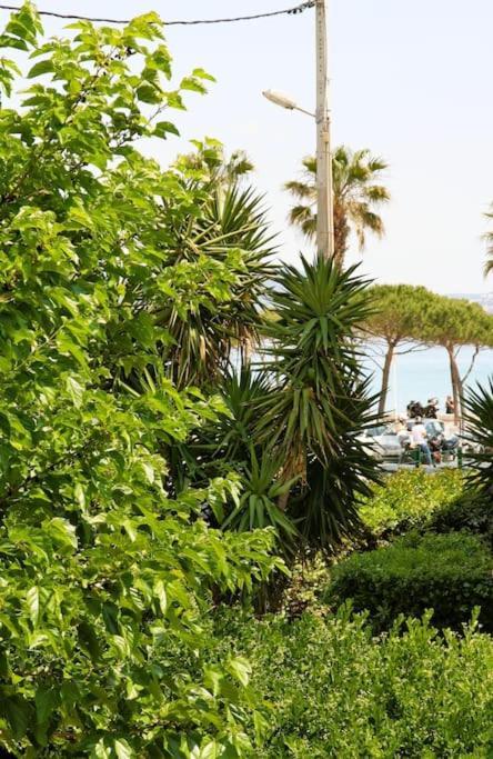 Blue Summer Vibes Duplex Studio For 4P, Ac, Sea View, Parking, Beach At 50M, Spa Access -3 La Ciotat Eksteriør billede